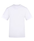 Arctic White*