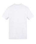 Arctic White