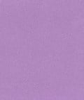 Bright Lavender