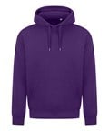 Purple*