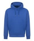 Royal Blue*