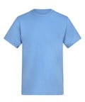Cornflower Blue